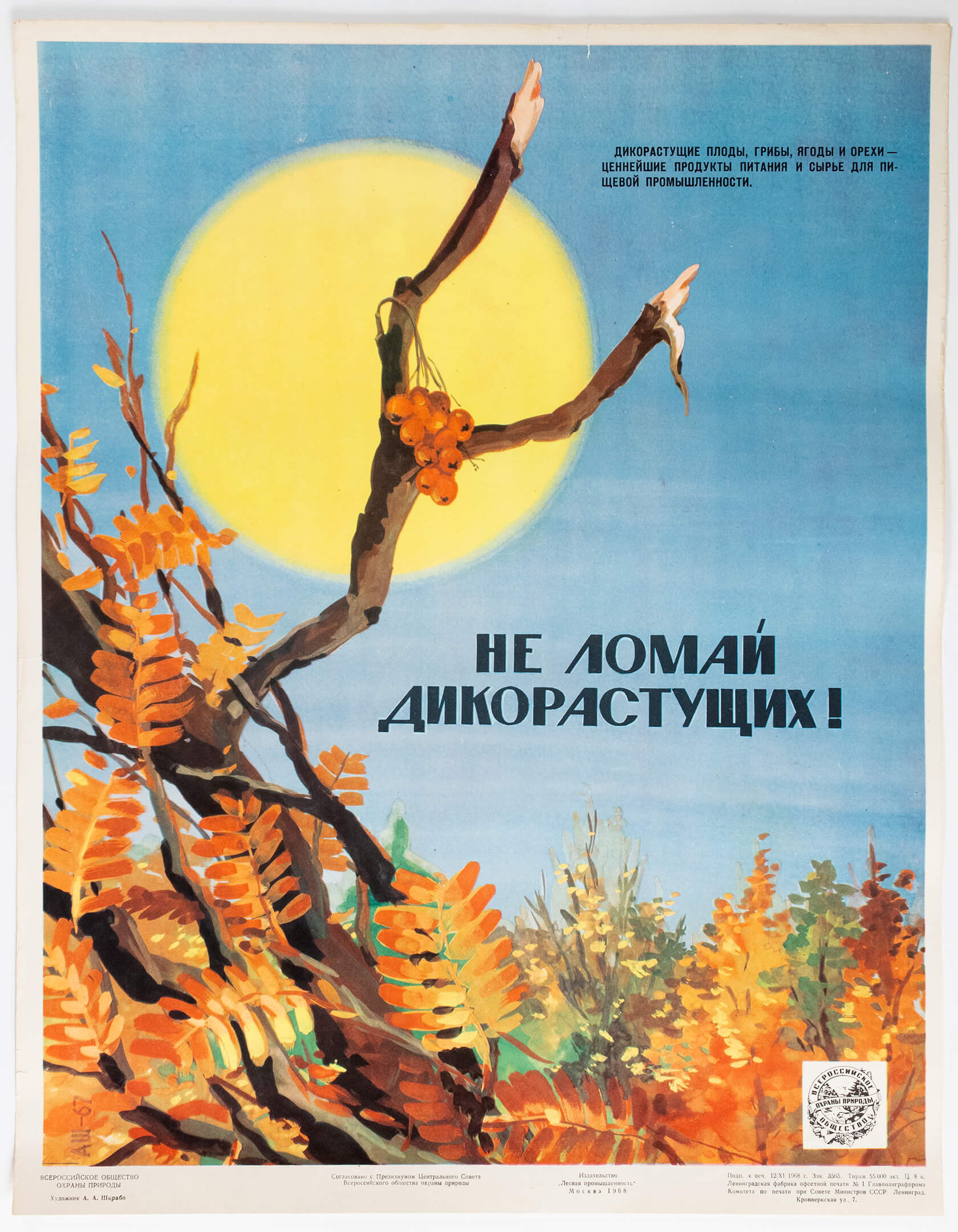 А. А. Шкрабо. Не ломай дикорастущих!