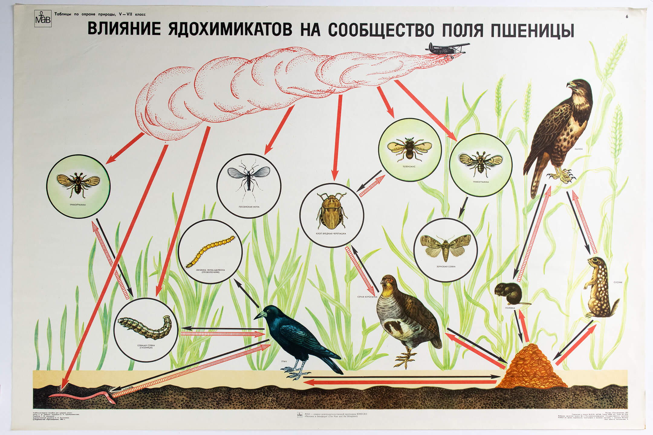 Н. Н. Кондаков. Влияние ядохимикатов на сообщество поля пшеницы