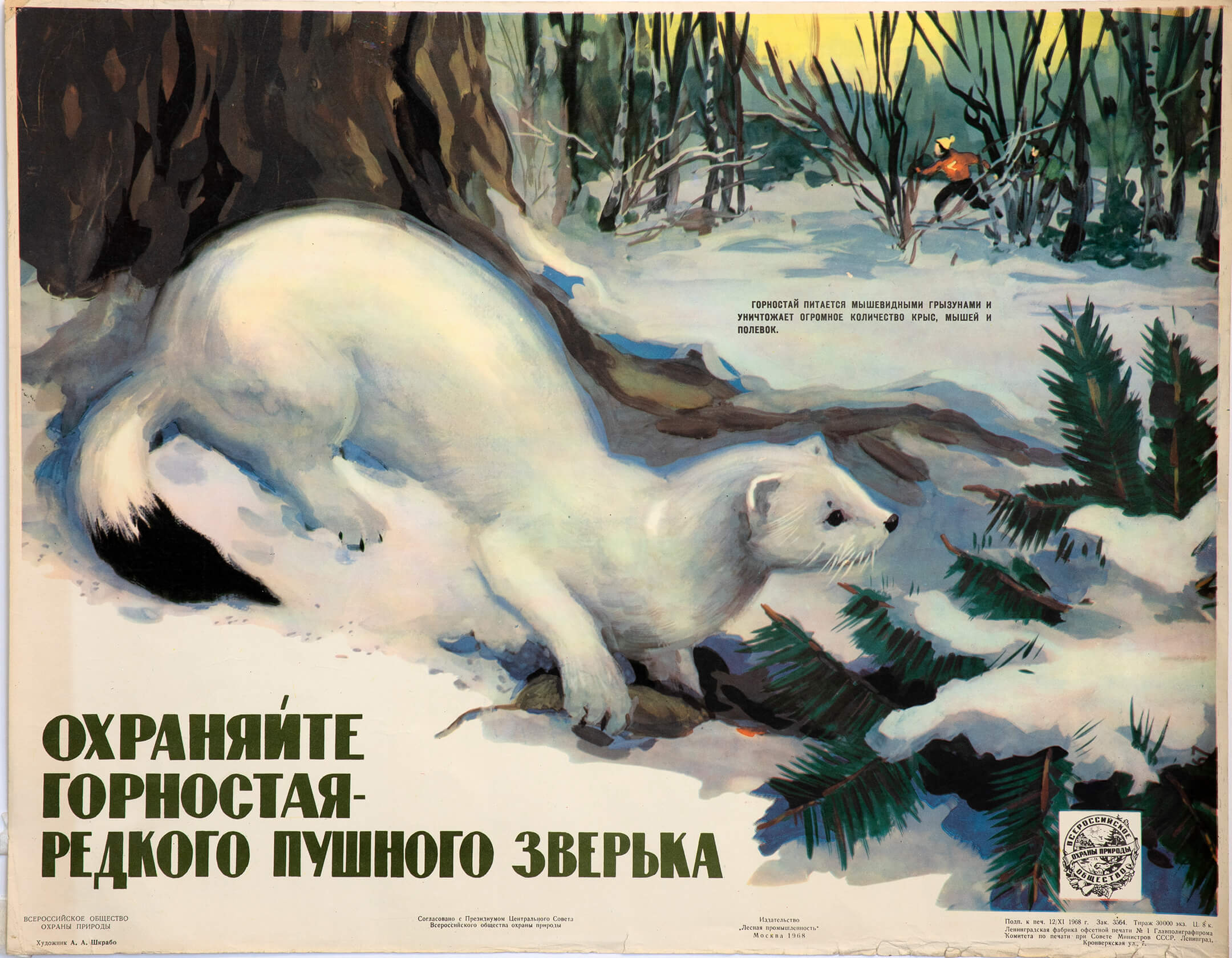 А. А. Шкрабо. Охраняйте горностая