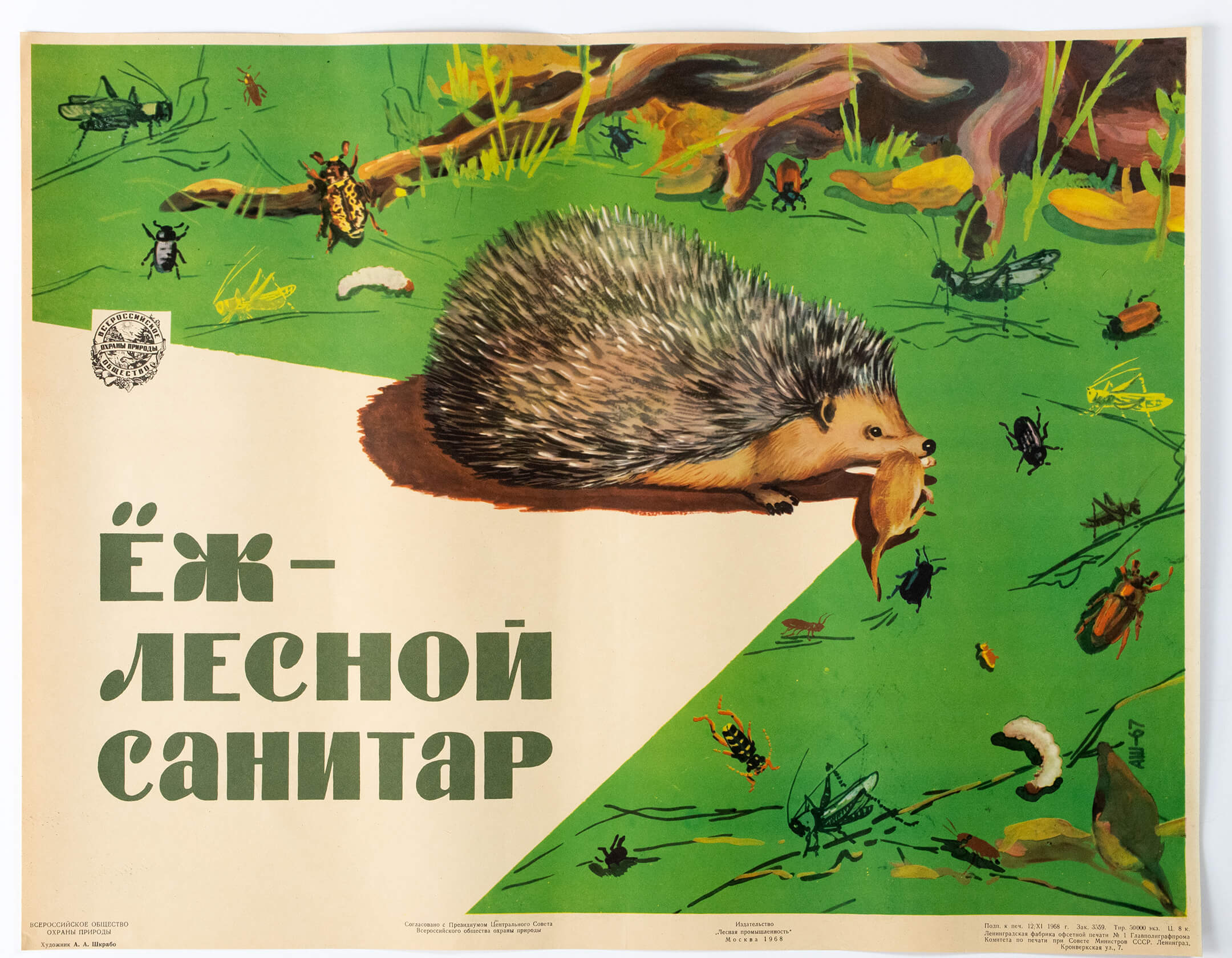 А. А. Шкрабо. Ёж &mdash; лесной санитар